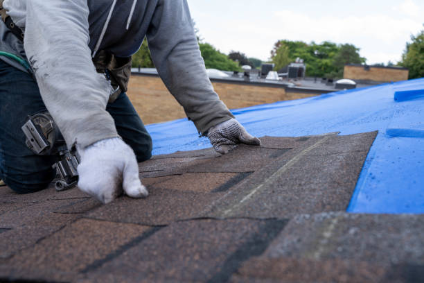 Best Storm Damage Roof Repair  in Marathon, FL